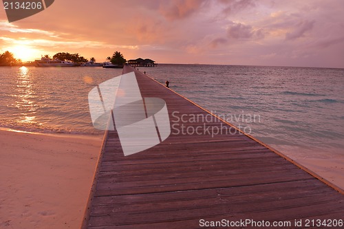 Image of tropical beach