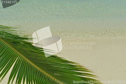 Image of tropical beach