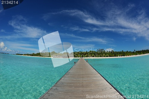 Image of tropical beach