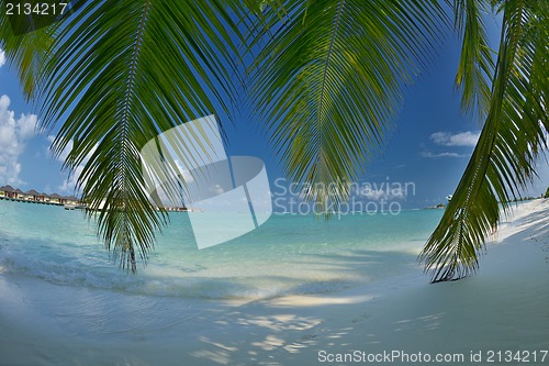 Image of tropical beach