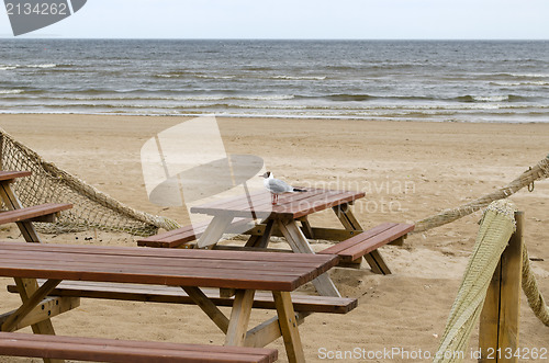 Image of wooden tables benches sea ocean beach seagull gull 