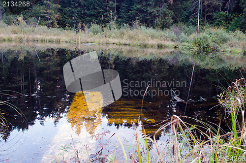 Image of underwater wooden rot broken bridge forest lake 