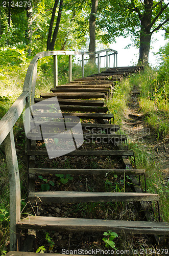 Image of old wooden stairs in the park 
