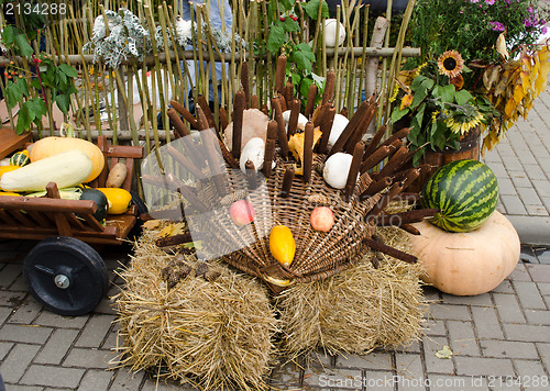 Image of handmade hedgehog autumn harvest goodie 