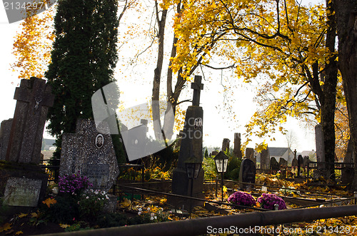 Image of graveyard grave cross stonehead autumn tree leaves 