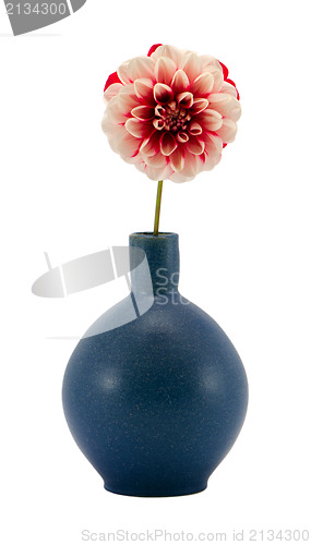 Image of pink dahlia flower bloom retro blue vase isolated 