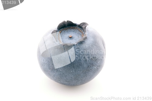 Image of Solitary Blueberry