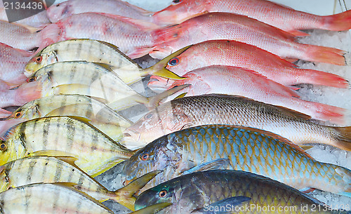 Image of fresh fish