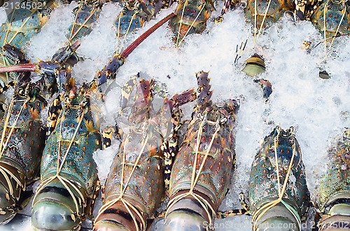 Image of lobsters