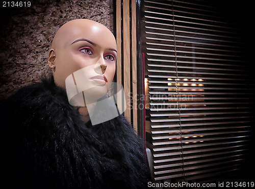 Image of Mannequin in fur