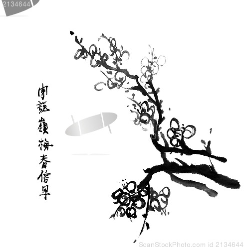 Image of plum blossom