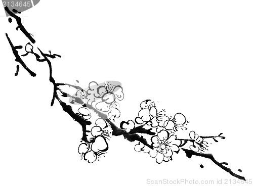 Image of plum blossom
