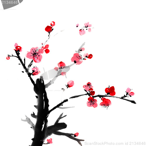 Image of plum blossom
