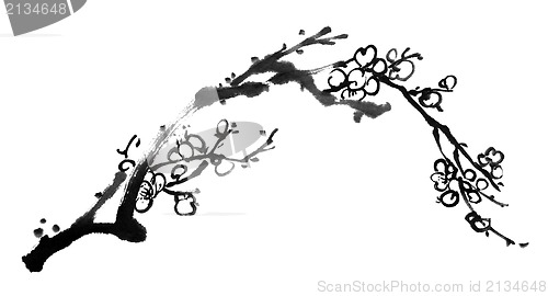 Image of plum blossom