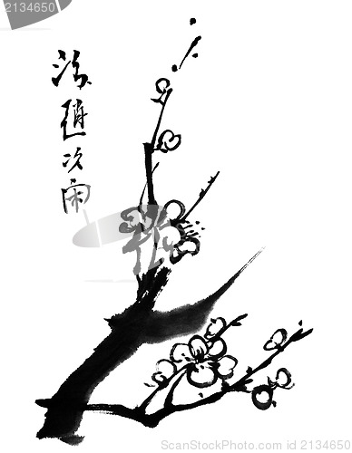 Image of plum blossom