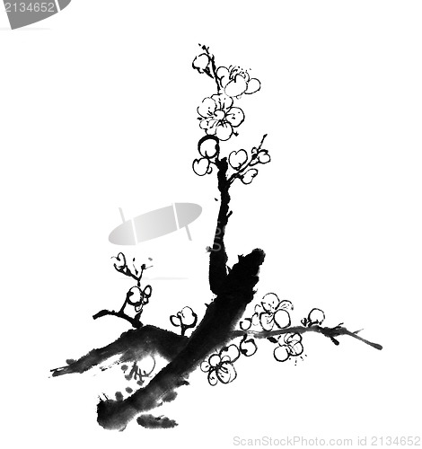 Image of plum blossom