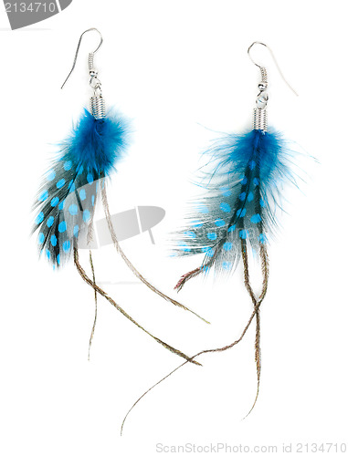 Image of A pair of ladies earrings from feather