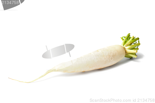 Image of White Radish