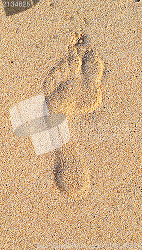 Image of footprint