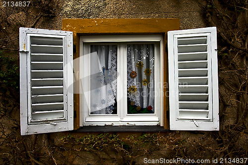 Image of white wood venetian blind