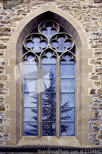 Image of window and a tree