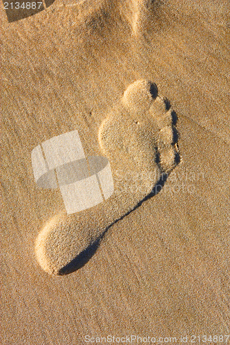 Image of Foot print