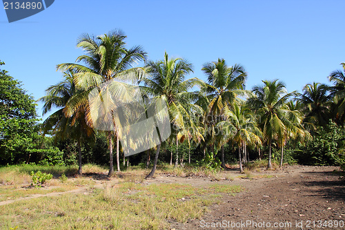 Image of Cuba