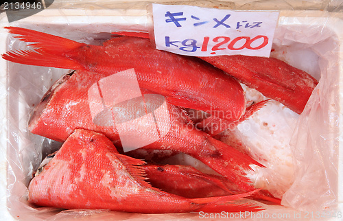 Image of Tokyo seafood market