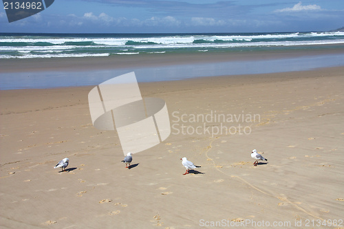 Image of Beach in Australia