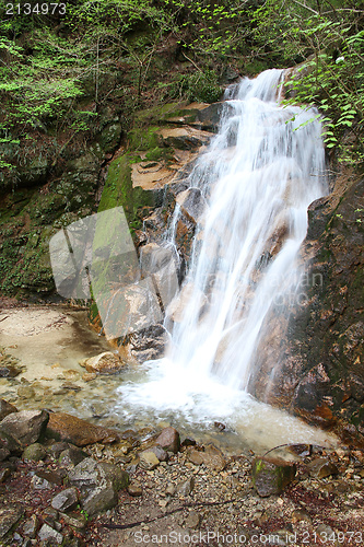 Image of Nature in Japan