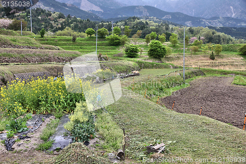 Image of Countryside in Japan