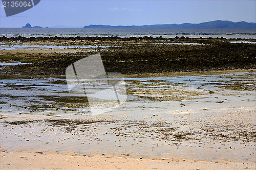 Image of  isle and rock in madagascar