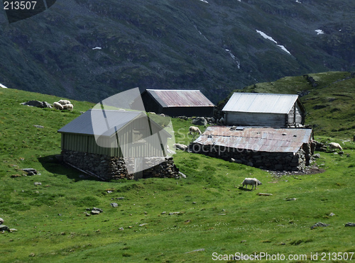 Image of Small village houses and sheep