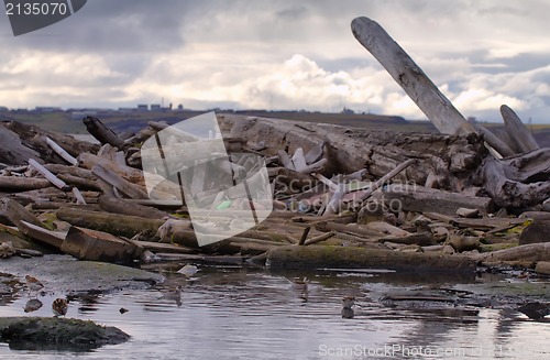 Image of ocean coast dump