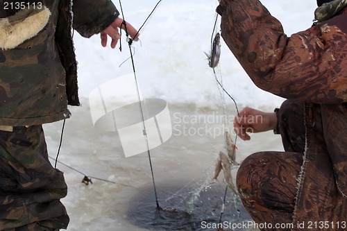 Image of winter  marine net