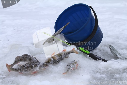 Image of winter perch fishing leisure