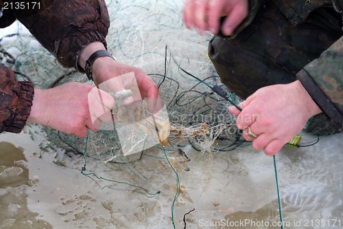 Image of winter  marine net