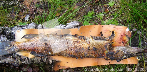 Image of Fried  pike