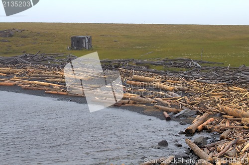 Image of the ruined wood on ocean coasts