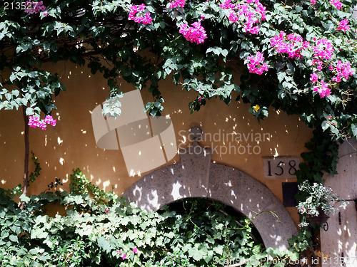 Image of Quaint street in Rome