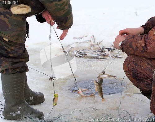 Image of winter  marine net