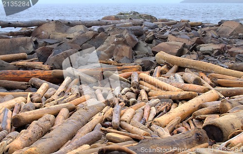 Image of the ruined wood on ocean coasts