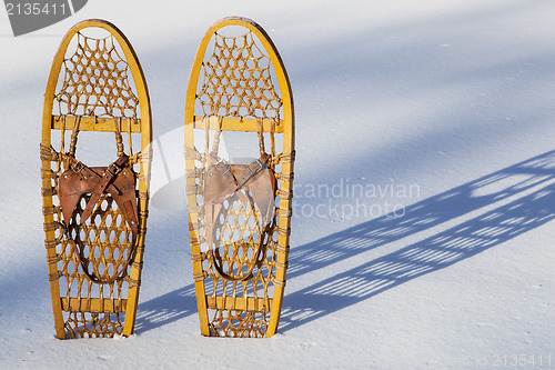 Image of Bear Paw snowshoes