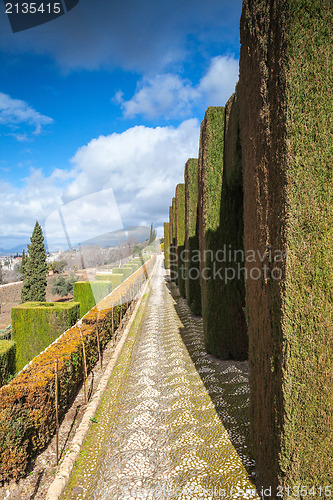 Image of Gardens in Granada in winter