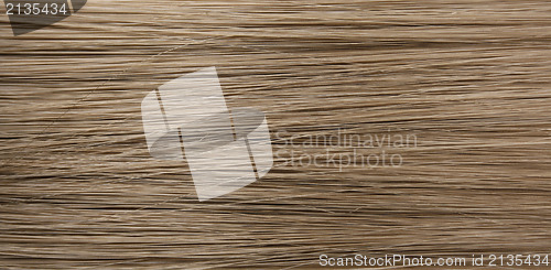 Image of Human hair 