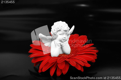 Image of Angel and a flower