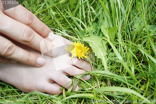 Image of Barefoot 