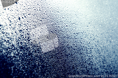 Image of Water drops 