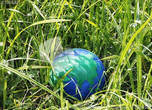 Image of Globe in the grass