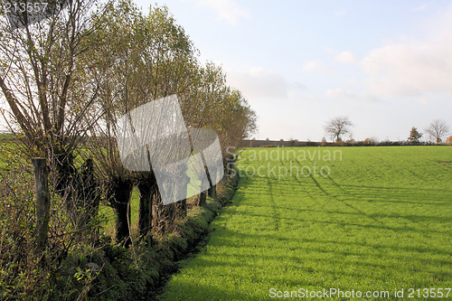 Image of autumn fields